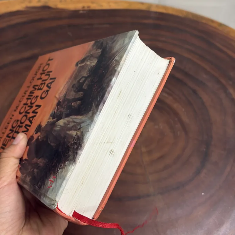 II Tác Phẩm Kinh Điển: Tiếng Chim Hót Trong Bụi Mận Gai - COLLEEN McCULLOUGH - 2005 1032299