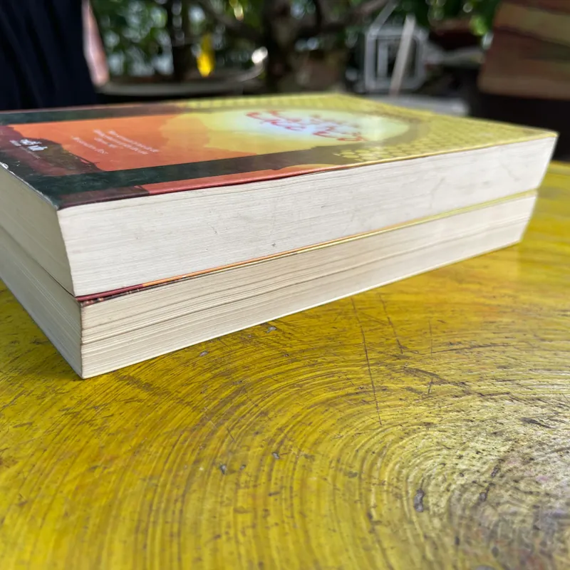 COMBO KHALED HOSSEINI- NGƯỜI ĐUA DIỀU- NGÀN MẶT TRỜI RỰC RỠ 562266
