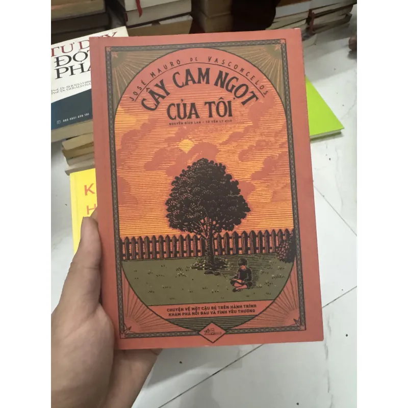 Cây cam ngọt của tôi 1046976