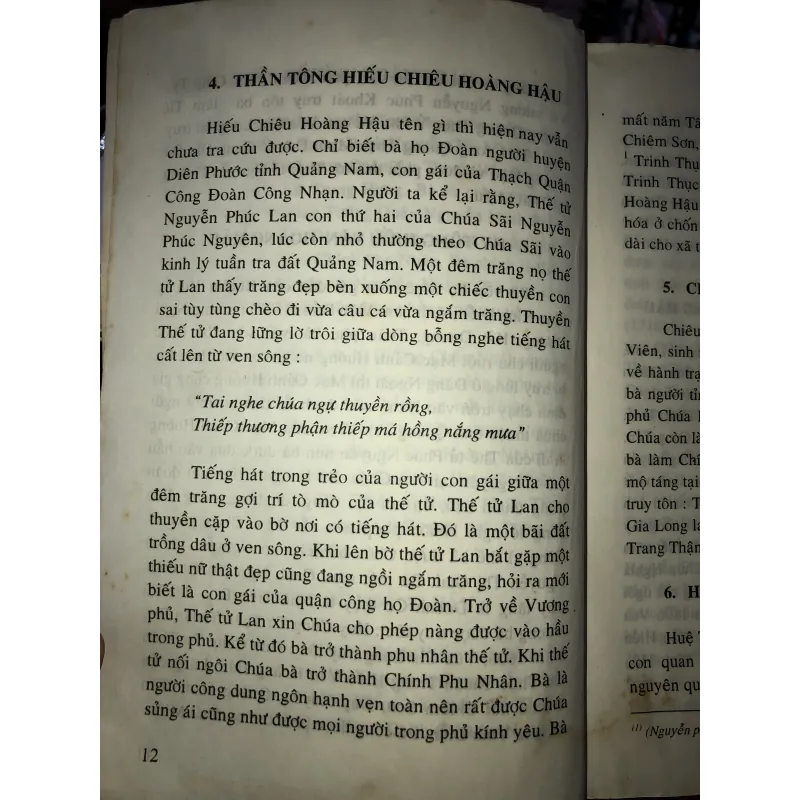 Truyện kể về các vương phi hoàng hậu nhà Nguyễn - Thi Long 997274