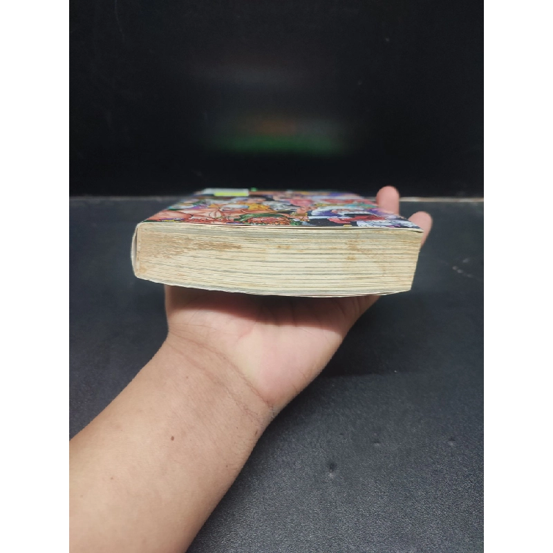 Hồ sơ One Piece Green - Eiichiro Oda 2019 mới 70% ố vàng HCM0305 truyện tranh 476626