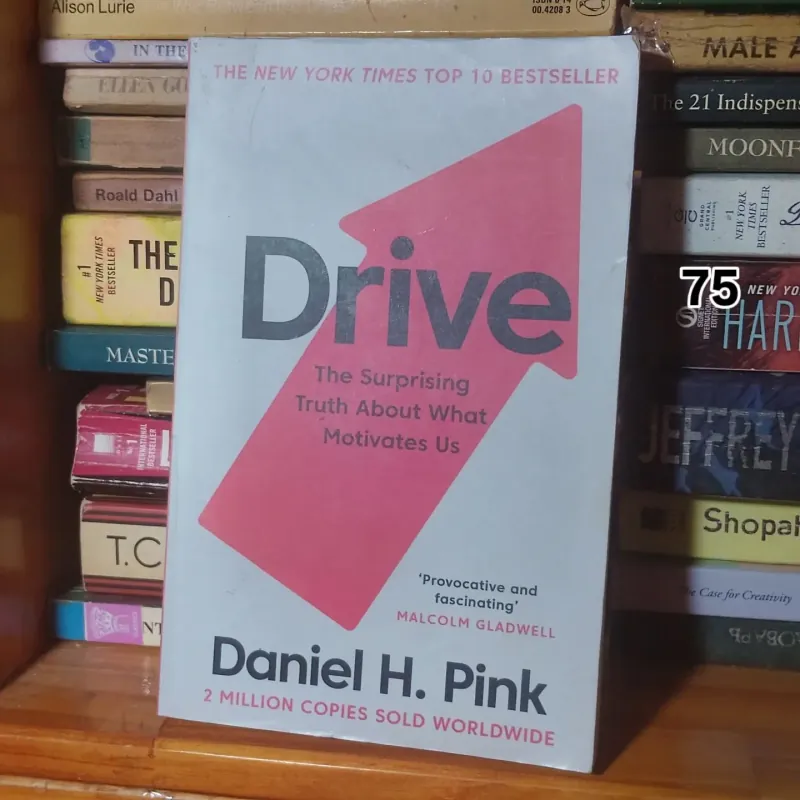 Drive : The Surprising Truth About What Motivates Us - Daniel H.Pink 765526