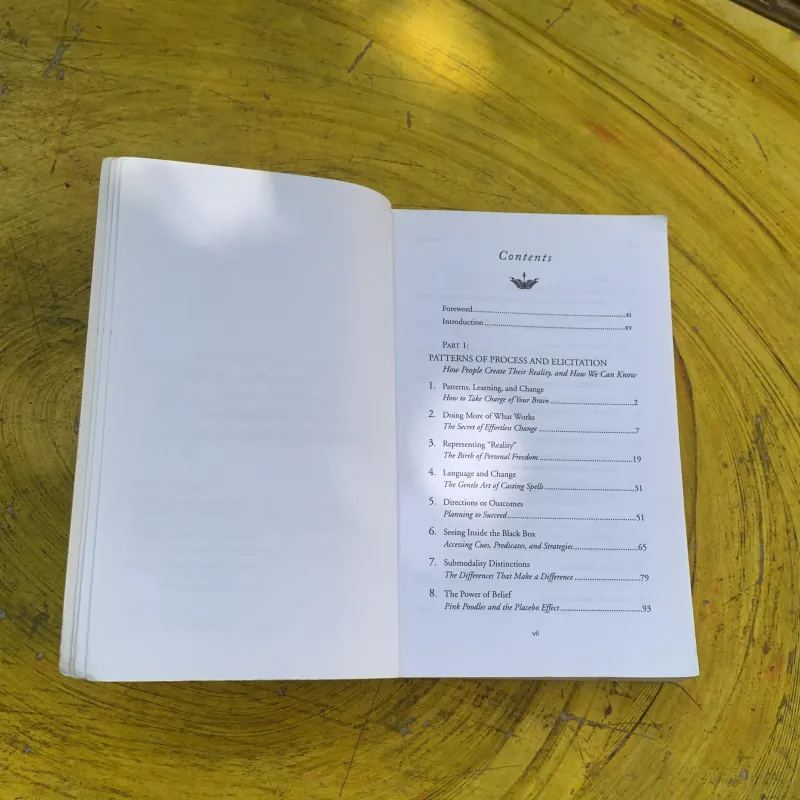 RICHARD BANDLER’S GUIDE TO TRANCE-FORMATION  788032