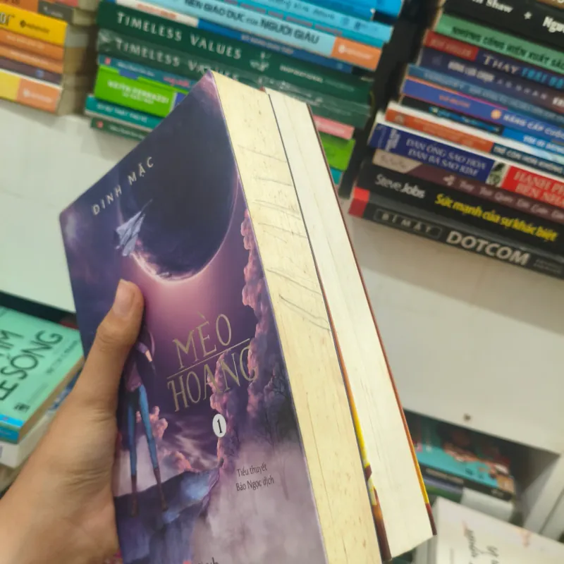 Mèo Hoang 🌱 789280