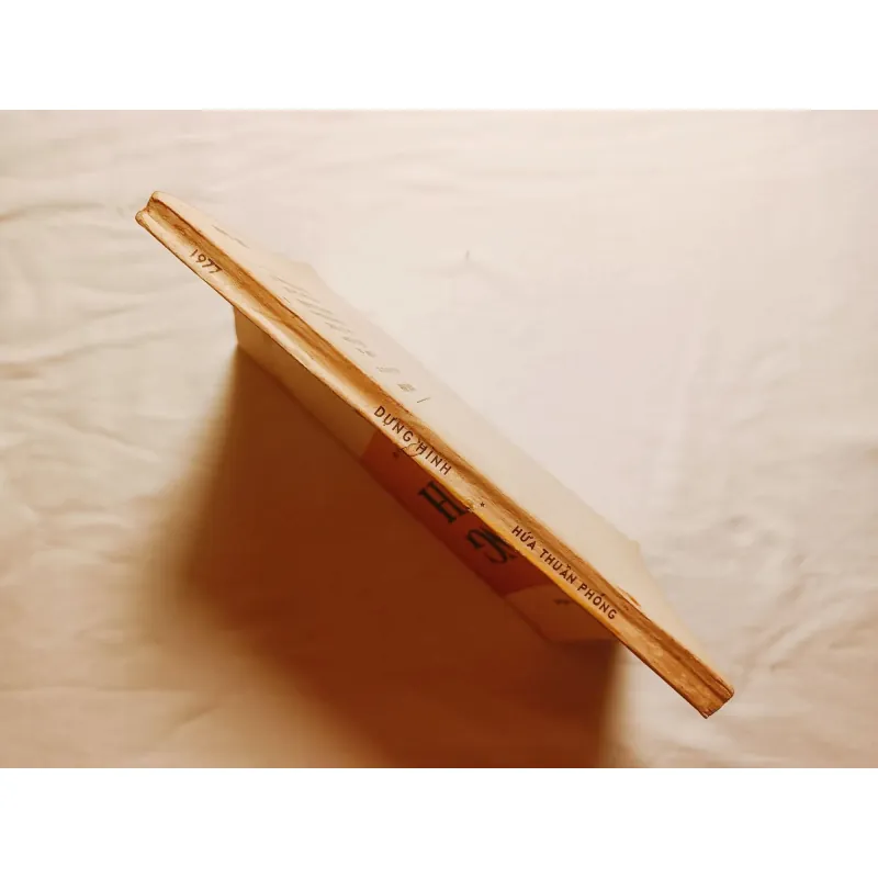 Dựng Hình - Hứa Thuần Phỏng 745310