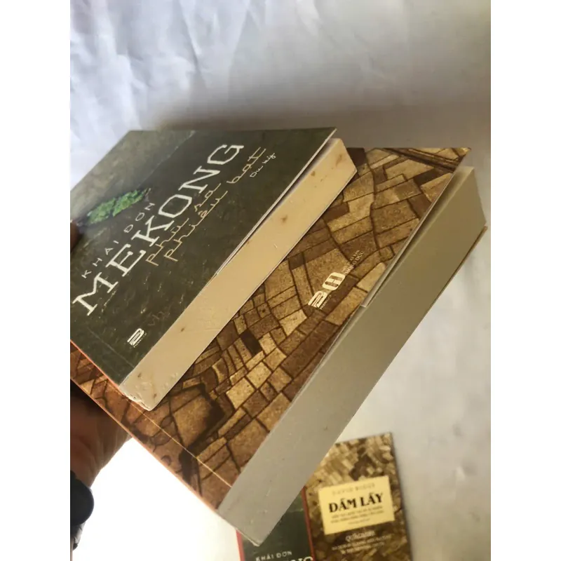 Mekong Phù Sa Phiêu Bạt - Khải Đơn & Đầm Lầy - David Biggs 1007165