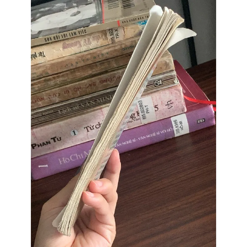 Những người thân trong gia đình Bác Hồ – (NXB Nghệ An) 592268