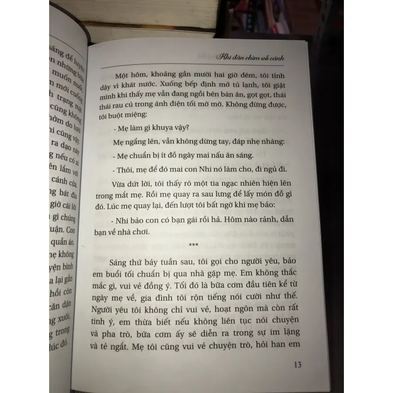 Khi đàn chim vỗ cánh  1011355