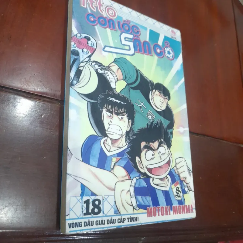 Itto CƠN LỐC SÂN CỎ - Trận đấu vòng loại khu vực 1020037