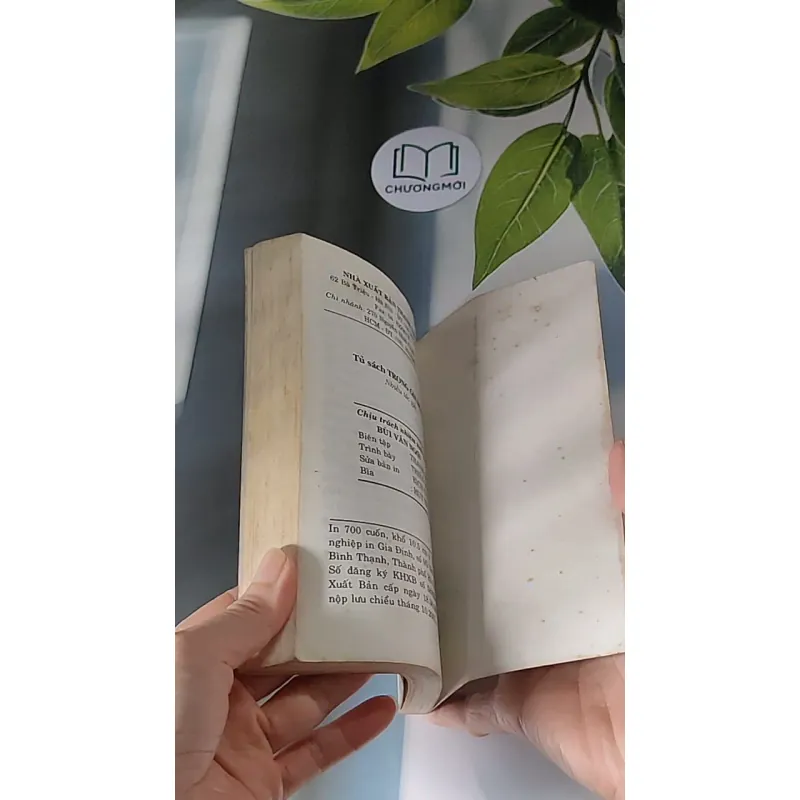 Vô Gia Đình (2001) - Hector Malot 607676