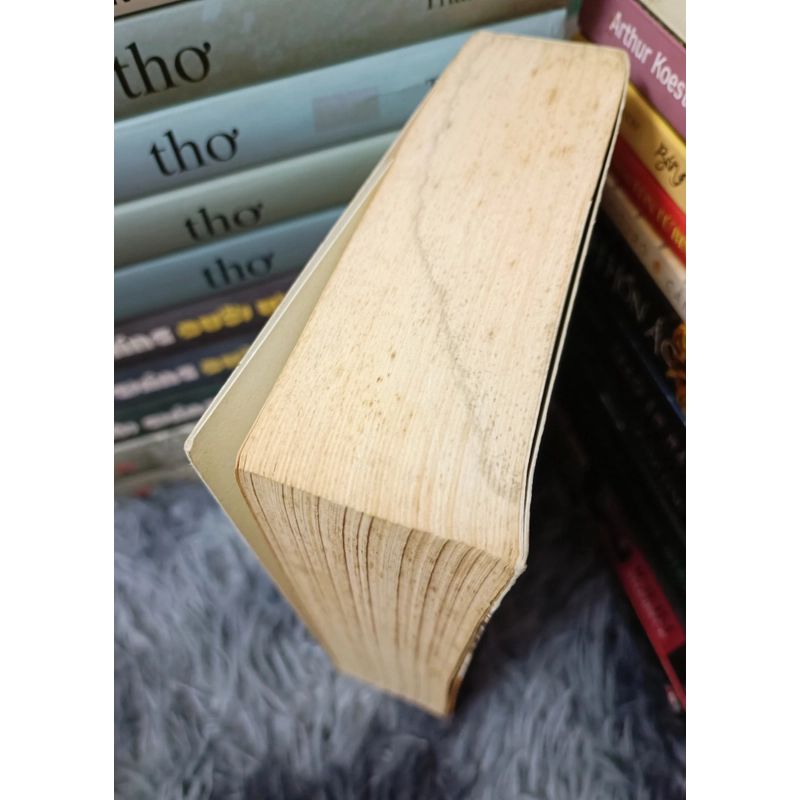 Gia đình Budden Brook (Thomas Mann) 517630