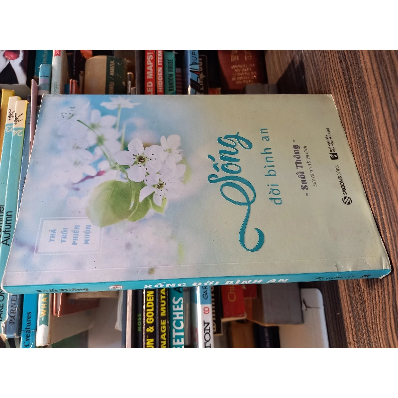 Sống Đời Bình An - Suối Thông 121701