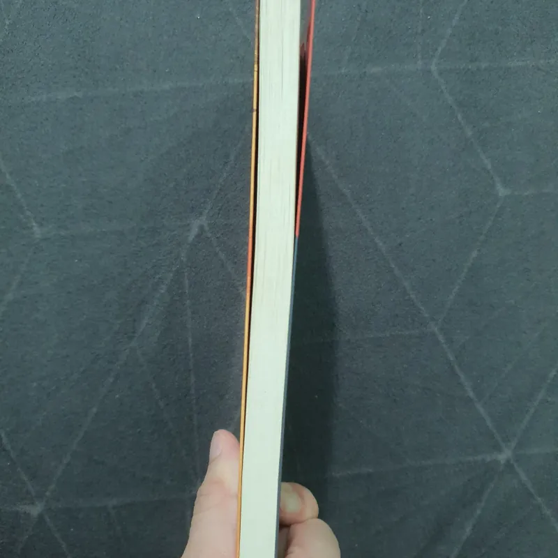 "Tình yêu kéo dài 3 năm" (like new) - Frederic Beigbeder 751979