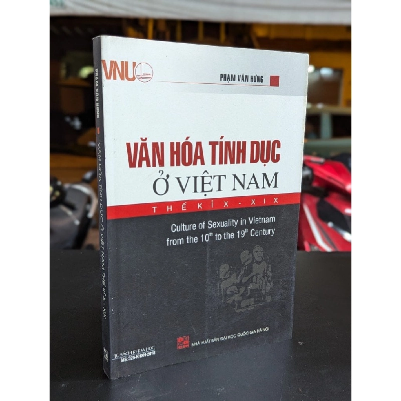 Văn hoá tính dục ở việt nam thế kỉ x - xix - Phạm Văn Hưng 326715