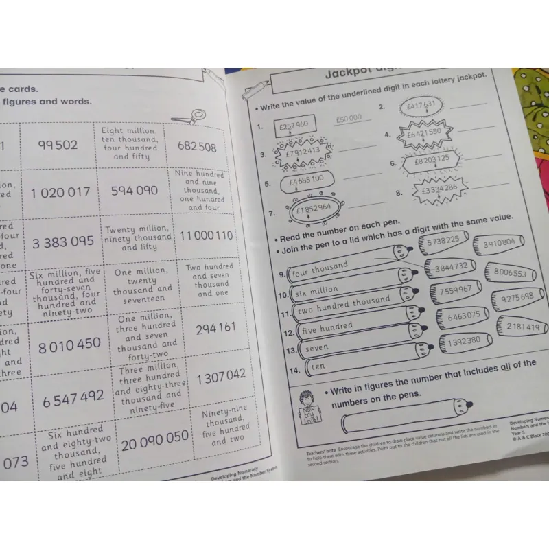 Developing Numeracy: 1008523