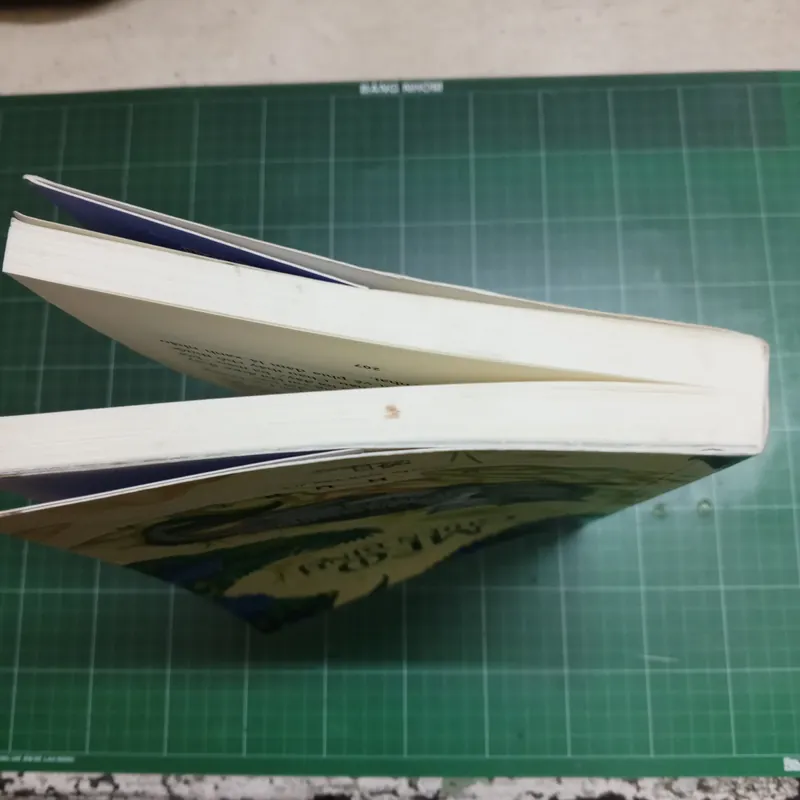 Mèo chiến binh - Erin Hunter 560283