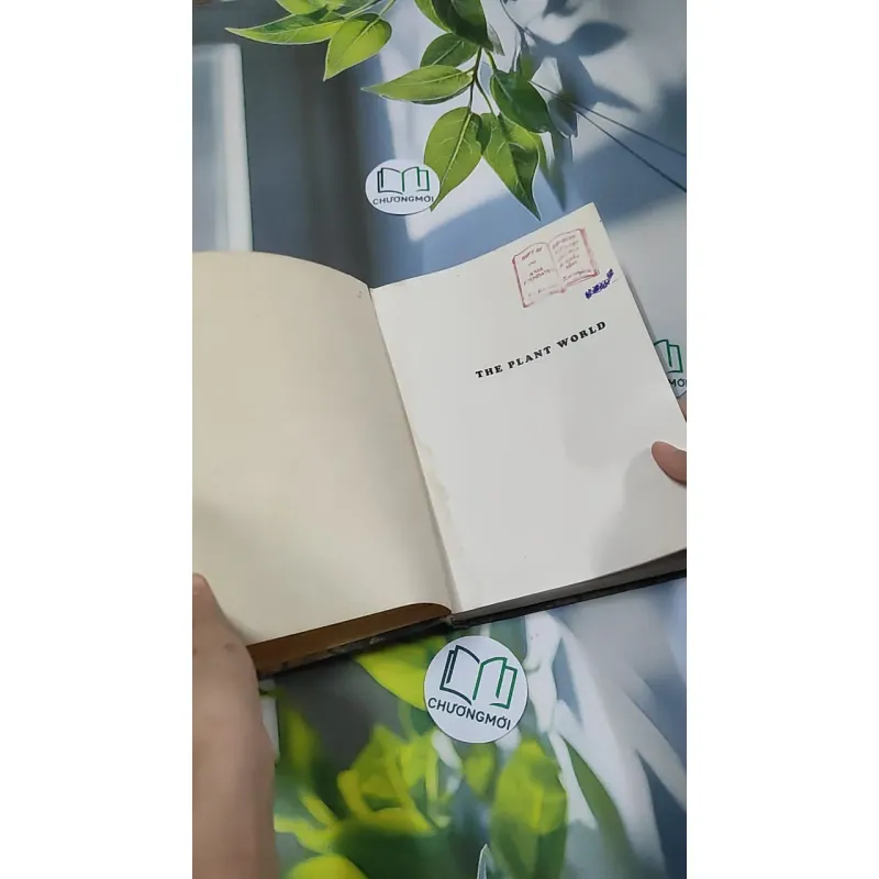 [MIỄN PHÍ BỌC SÁCH] The Plant World - Harry J. Fuller 750801