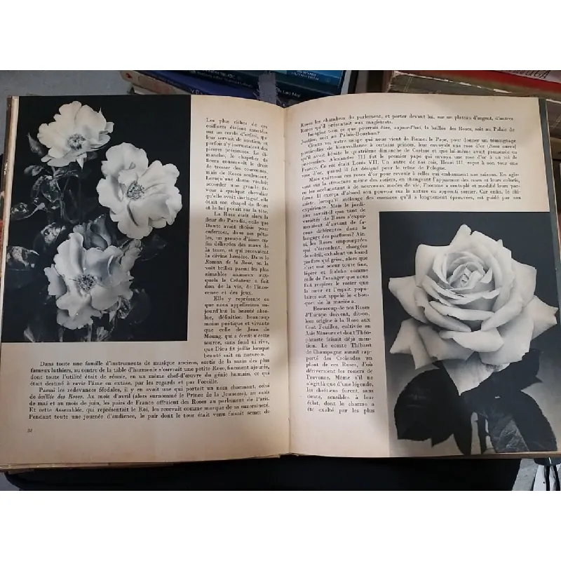 Belles fleurs de nos jardins 708458