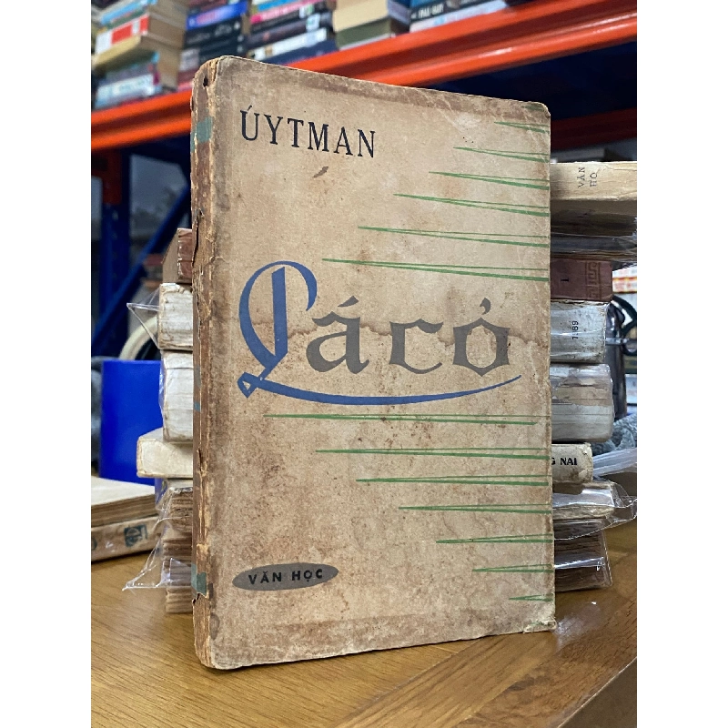 Lá Cỏ - Oan Huytman 523717