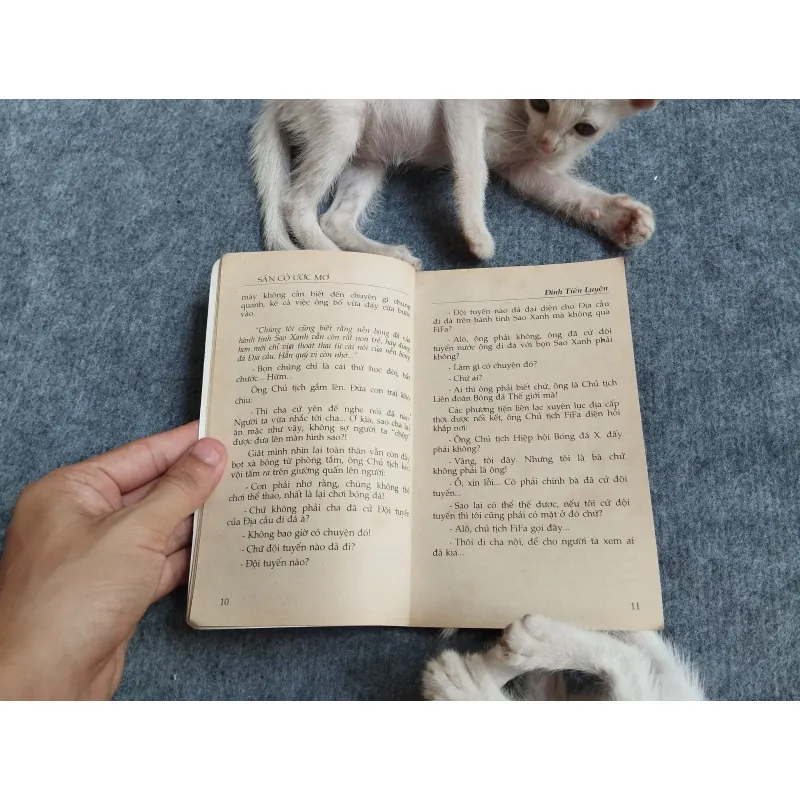 SÂN CỎ ƯỚC MƠ - ĐINH TIẾN LUYỆN 567809