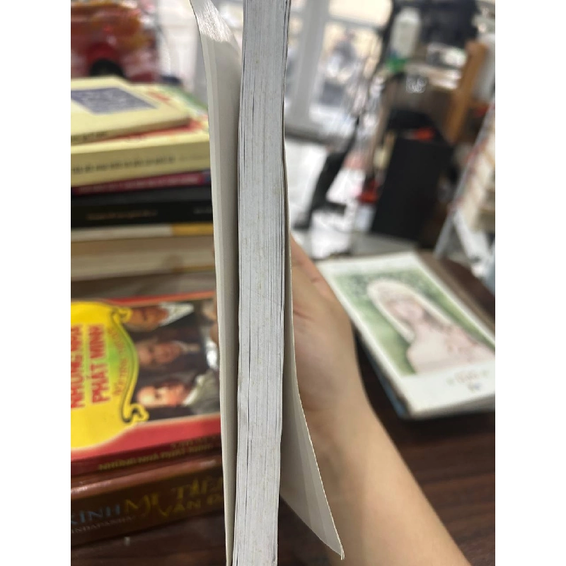 Những bông hoa đẹp - Như Đàm - Như Đàm - BT - Như Đàm 1008556