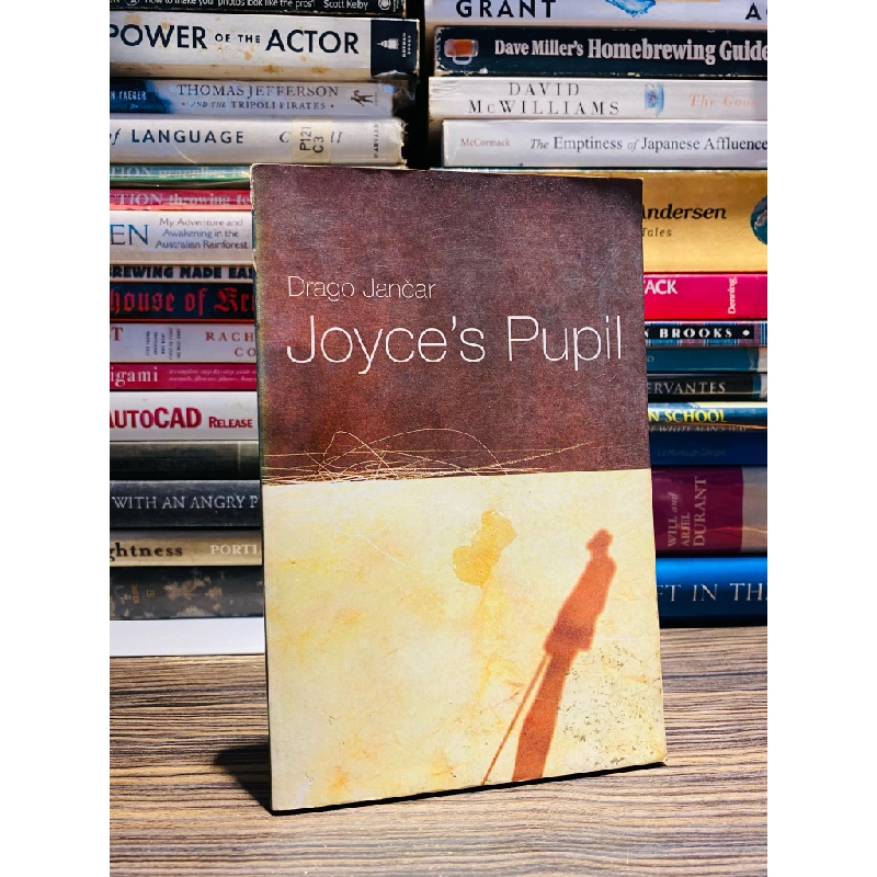 JOYCE'S PUPIL - DRAGO JANCAR 140284