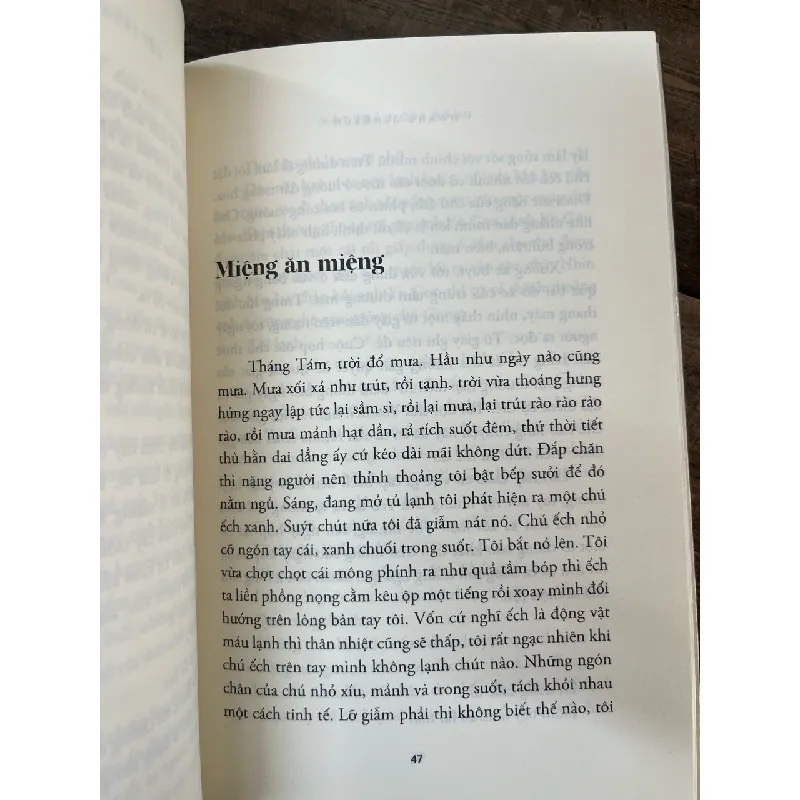 Một trăm cái bóng - Hwang Jungeun 703489