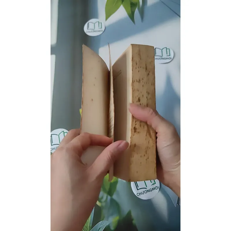 The Rhinemann Exchange - Robert Ludlum 1027201