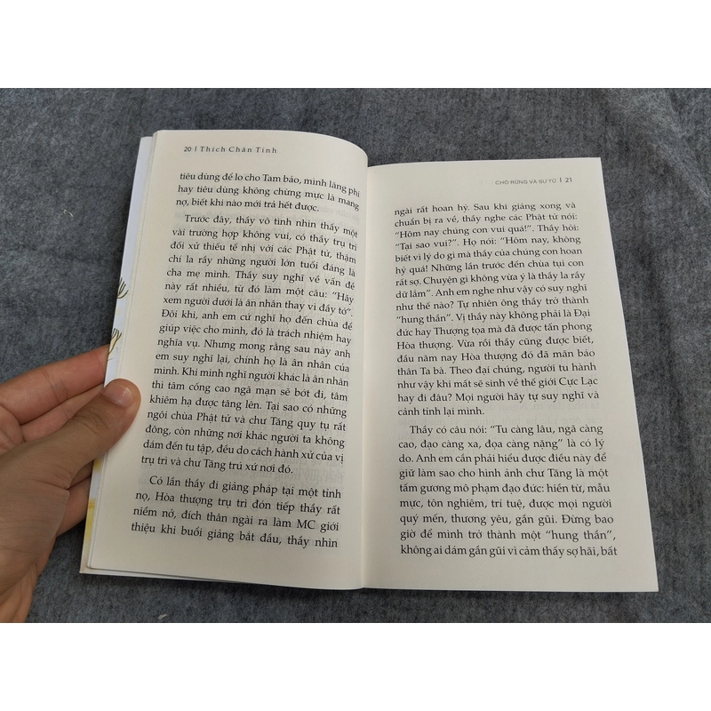 CHÓ RỪNG VÀ SƯ TỬ 549217