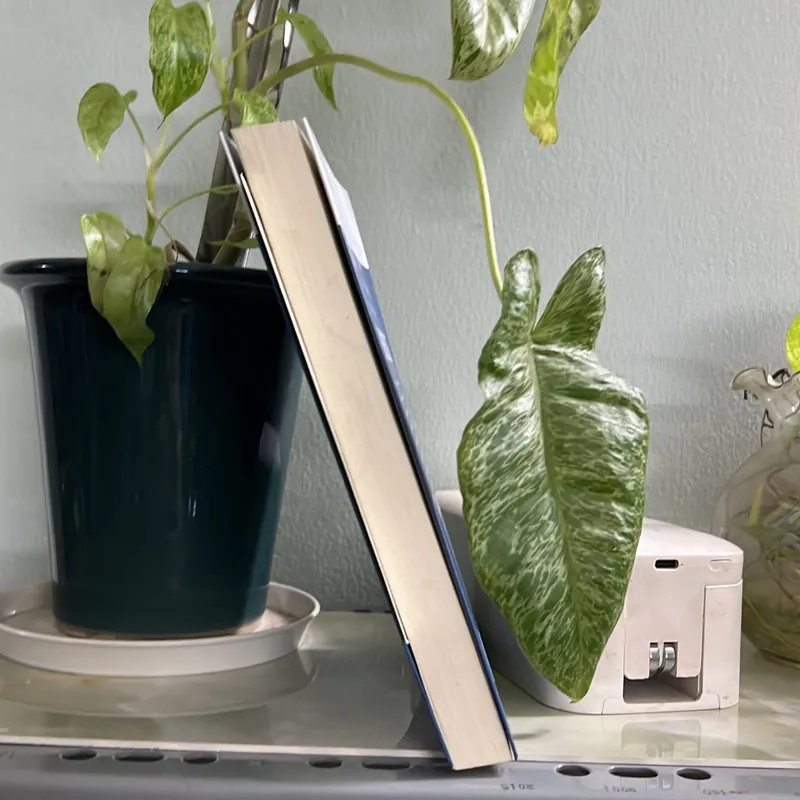 Xoay chuyển tình hình biển đônng - James Borton [ 168-> 75] - like new 99% 736370