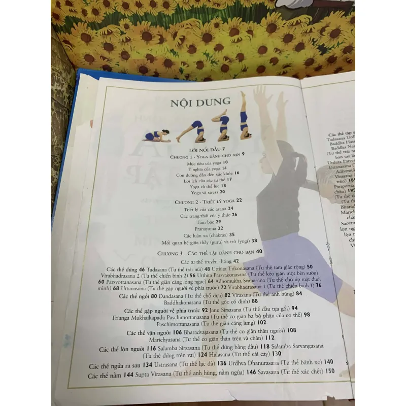 Kỹ Thuật và Thực Hành Yoga Toàn Tập - Iyengar 707648