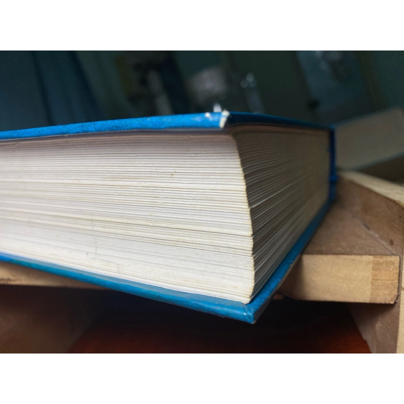 Dẫn nhập Thánh Kinh (Văn bản, địa lý, lịch sử, khảo cổ, thần học) 489827