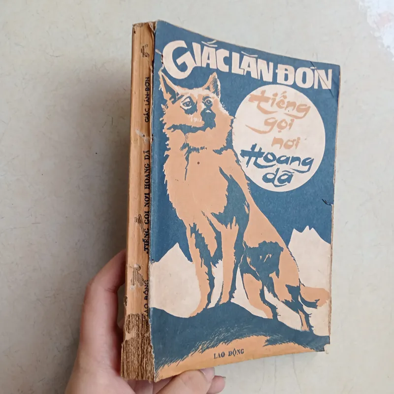 Tiếng gọi nơi hoang dã  572004