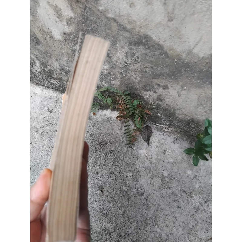 Văn học trung đại Việt Nam dưới góc nhìn văn hóa của GS Trần Nho Thìn  1022805
