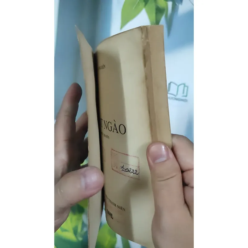 [XƯA] Ngọt Ngào (1993) - Lương Hiền 798510