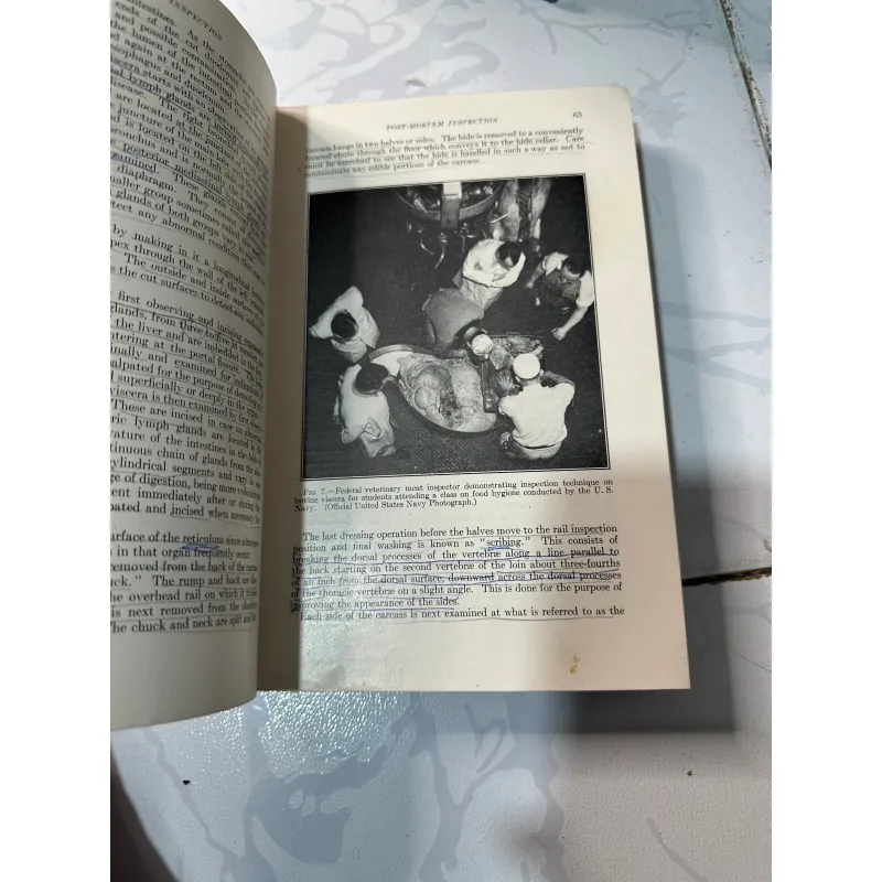 Kiểm tra xử lý và chế biến thịt 1008222