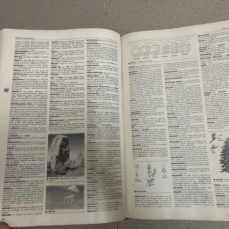 Từ điển Larousse (Pháp)  675184