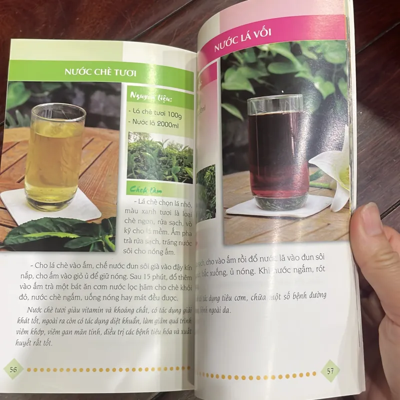 Thức uống giải nhiệt - sách pha chế đồ uống - nấu ăn  1038207