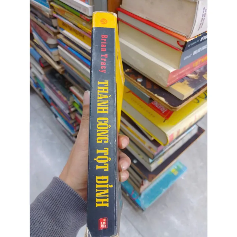 SÁCH THÀNH CÔNG TỘT ĐỈNH - CHIẾN LƯỢC VÀ PHƯƠNG CÁCH GIẢI PHÓNG NHỮNG KHẢ NĂNG TIỀM ẨN (B1 706181