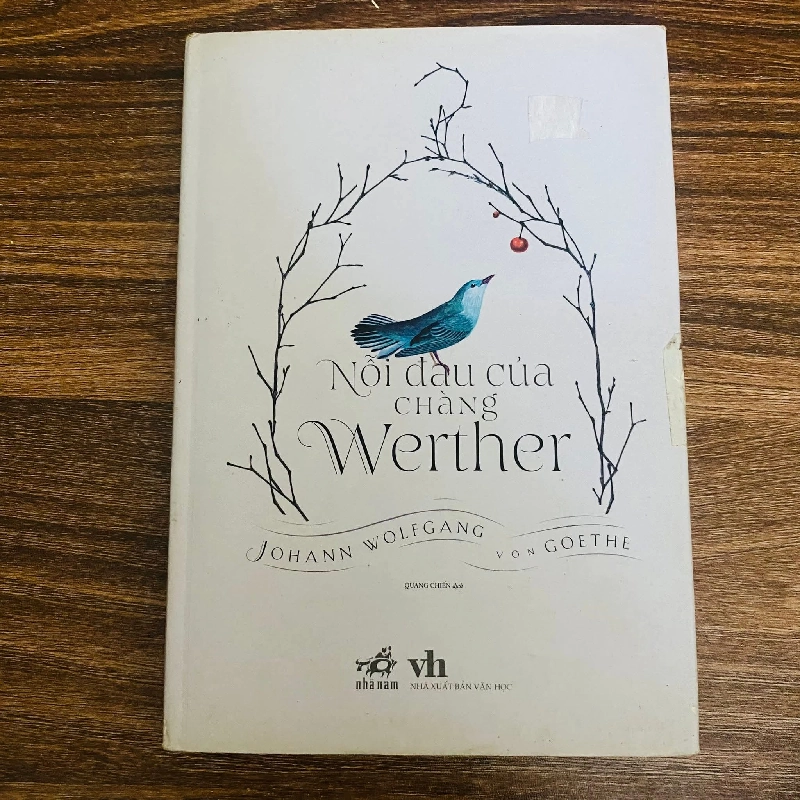 Nỗi đau của chàng Wether - bìa cứng (Sách văn học) NBHT 1043374
