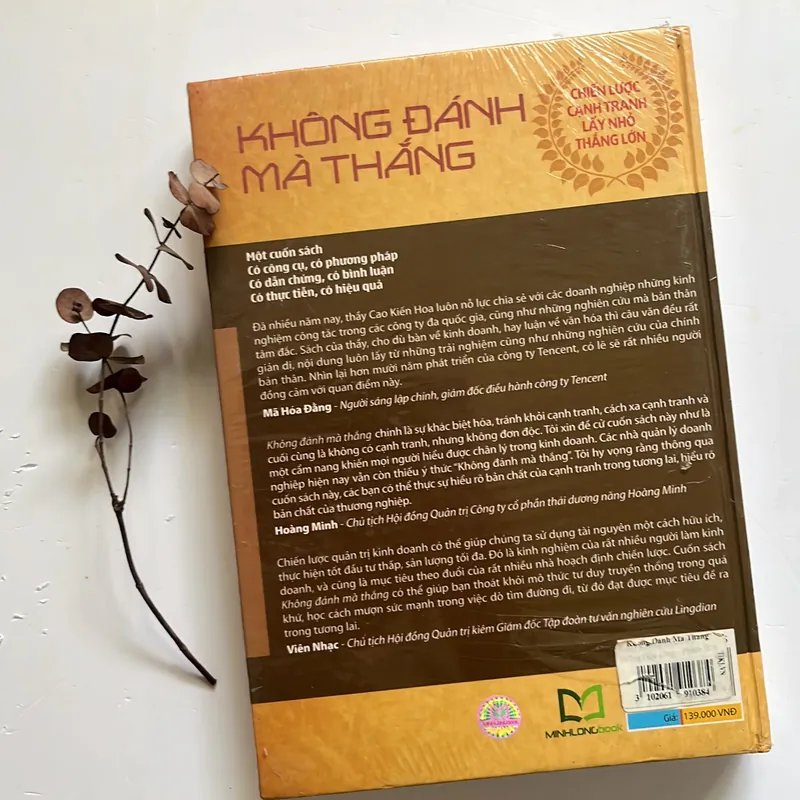 Không đánh mà thắng - Cao Kiến Hoa 576607