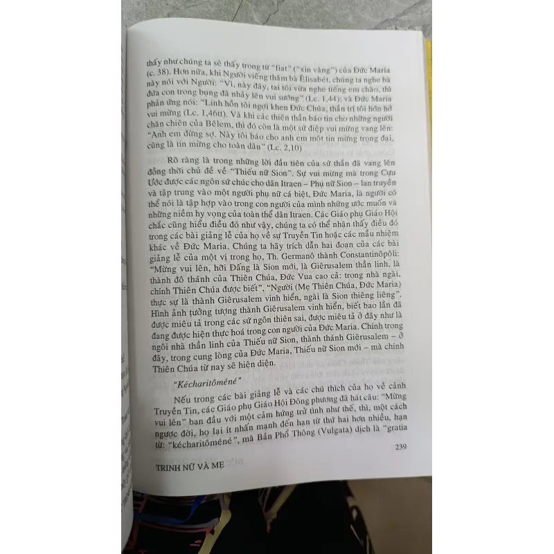 ĐỨC TRINH NỮ MARIA - DỊCH: THIÊN HỰU 726282