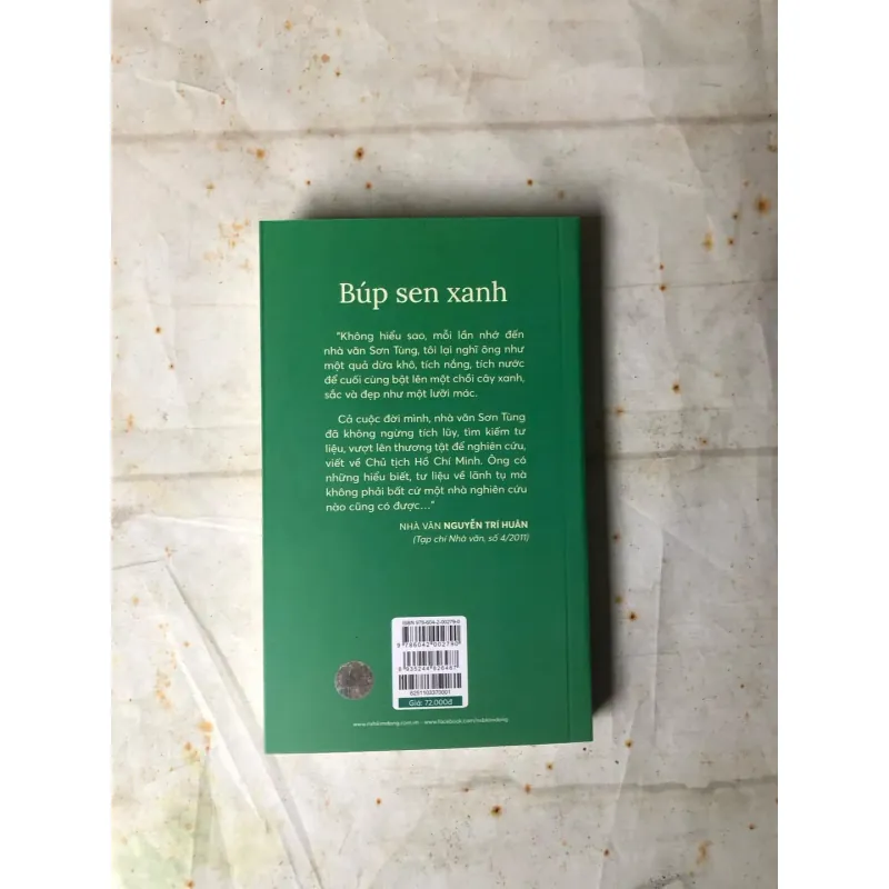 Búp Sen Xanh - Sơn Tùng 736231