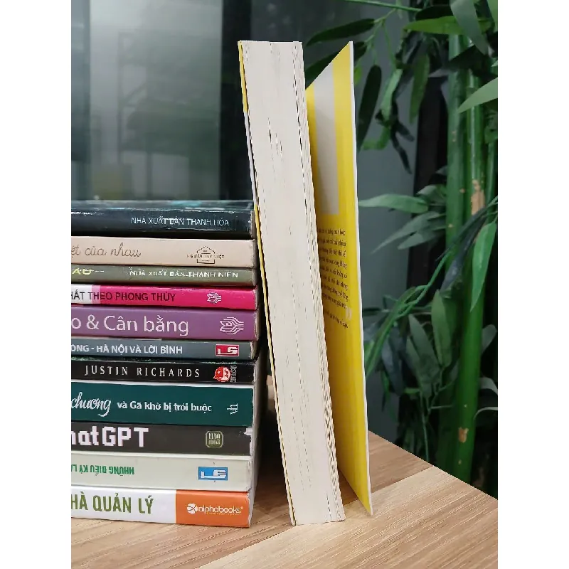 Your Image is Worthy of One Million Dollars (Hình ảnh của bạn đáng giá triệu đô) – Ingrid Zhang 570922