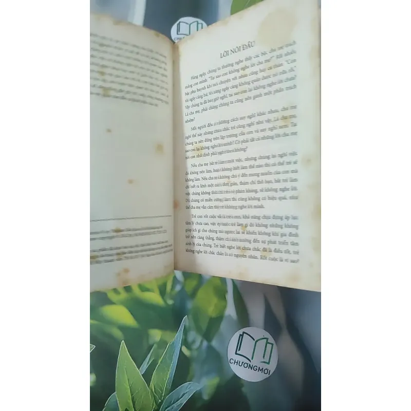 Vì Sao Trẻ Không Nghe Lời - Lưu Diễm 1018925