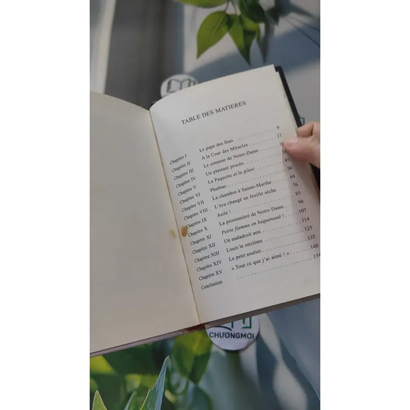 [MIỄN PHÍ BỌC SÁCH] [XƯA] Notre-Dame de Paris (1996) - Victor Hugo 990056