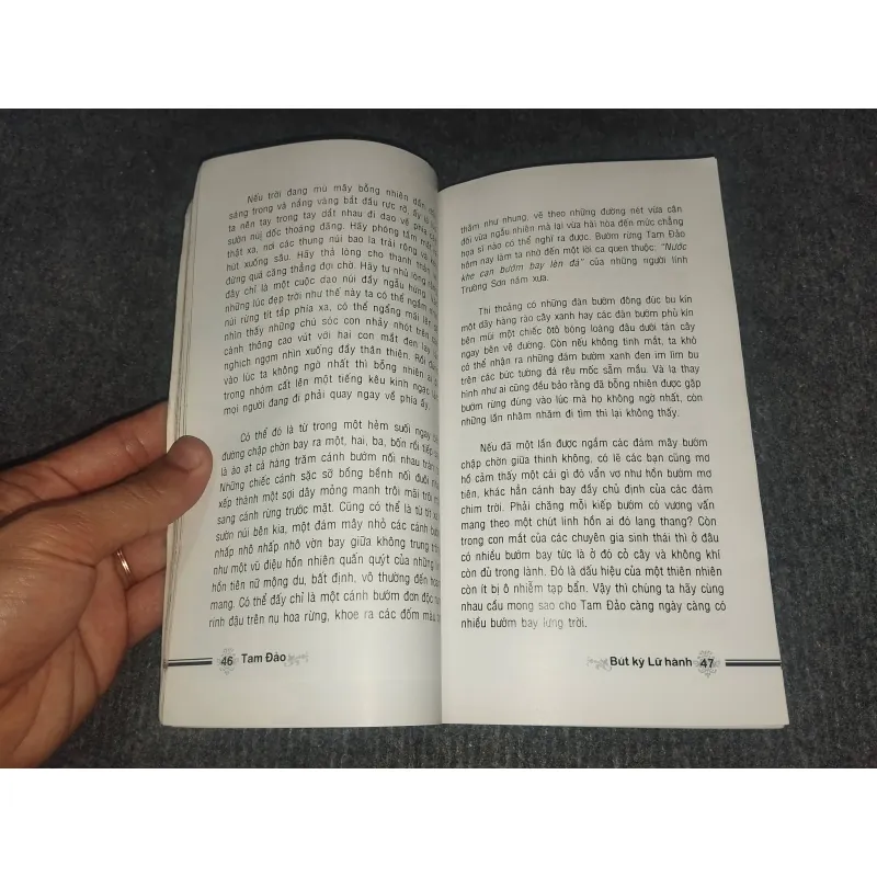 TAM ĐẢO. MIỀN DU LỊCH ĐẤT TÂM LINH 993099