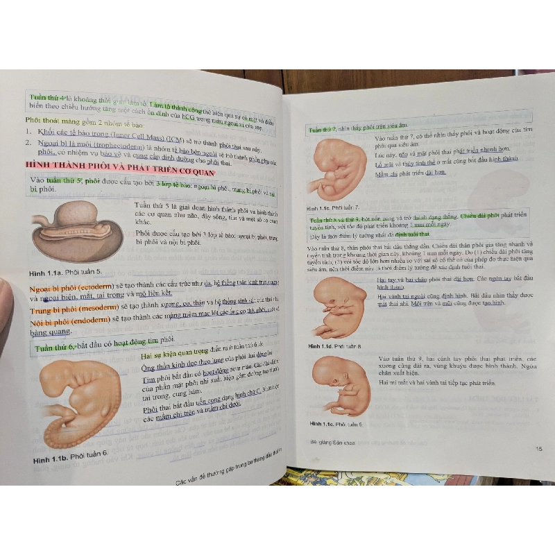 Bài giảng Sản Khoa - Nhiều tác giả 746046