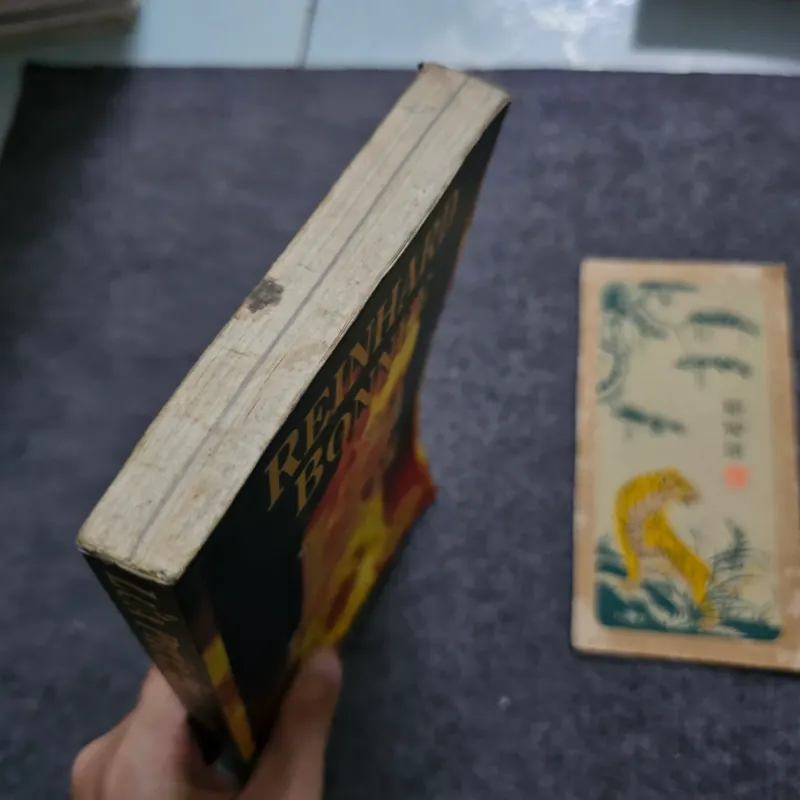 Lửa phúc âm ( sách tôn giáo ) 745510