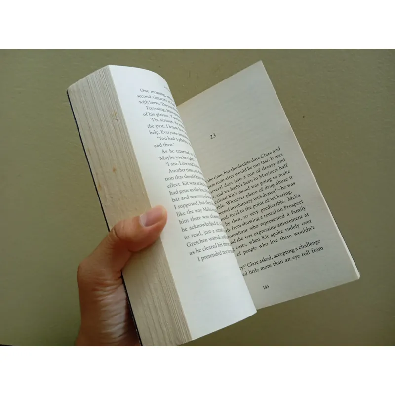 The other passanger, sách ngoại văn tiếng Anh, english book, tiểu thuyết  596204